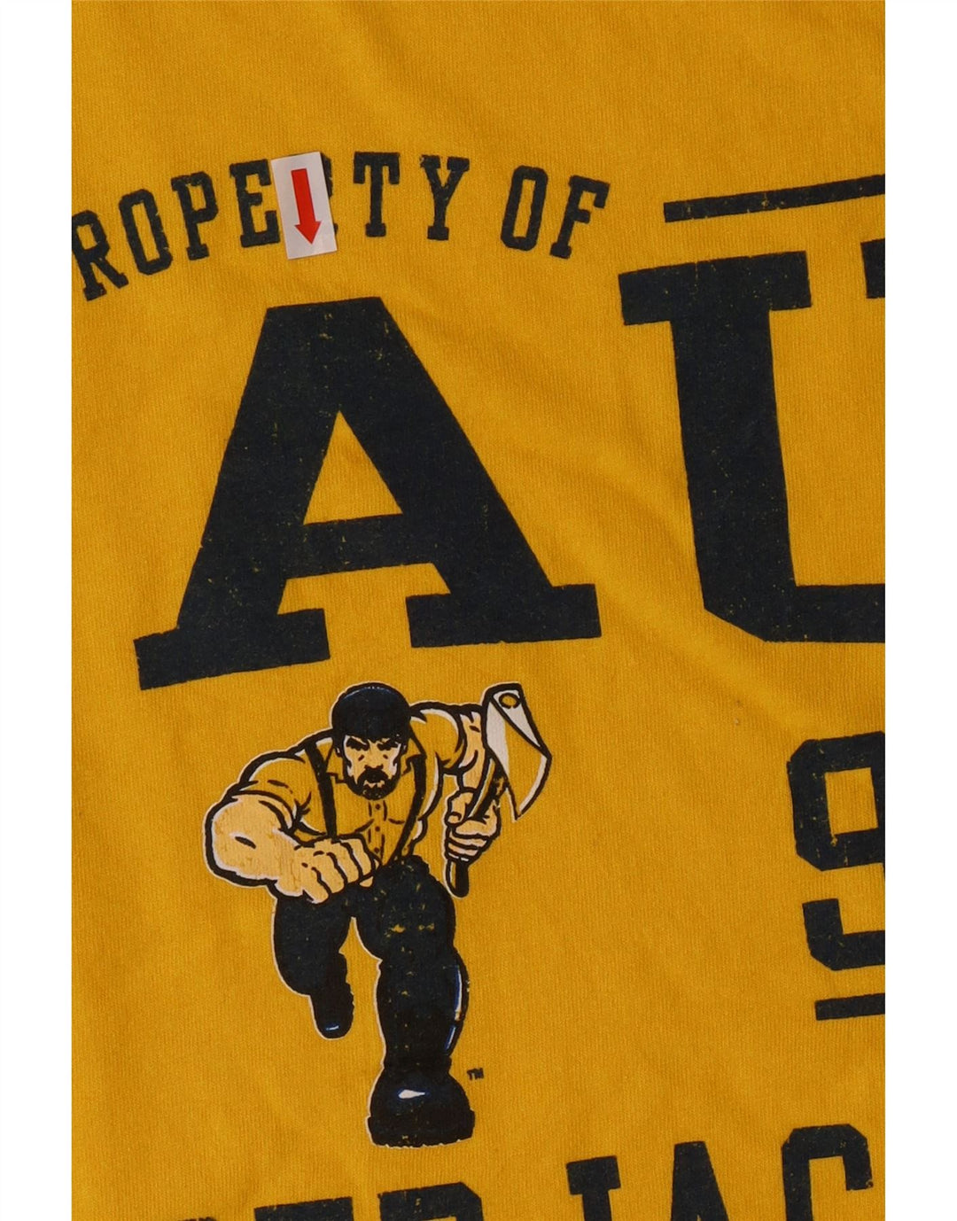 Tricou grafic Russell Athletic pentru bărbați Top din bumbac galben mediu