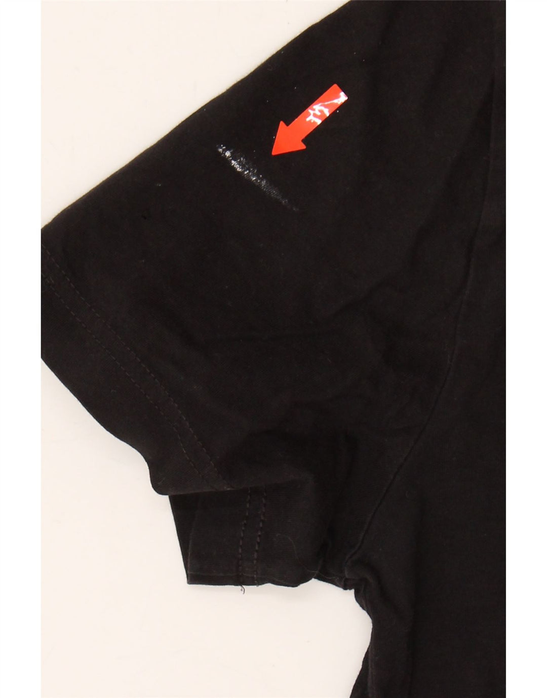 CHAMPION Mens Graphic T-Shirt Top Small Black Cotton Vintage Champion and Second-Hand Champion from Messina Hembry 