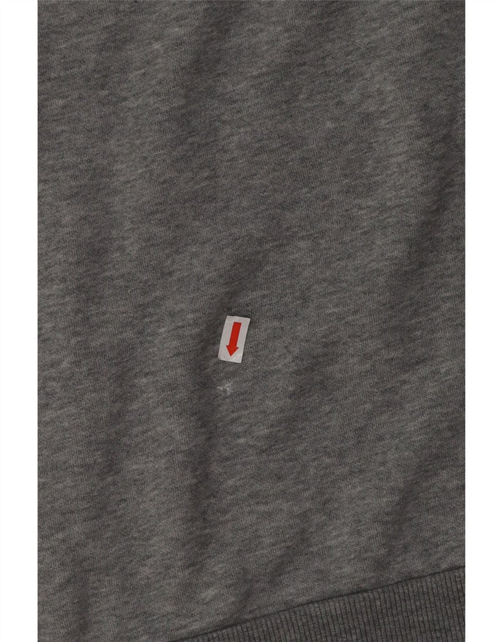 Pulover cu glugă cu grafic PUMA pentru bărbați, bumbac mare, gri