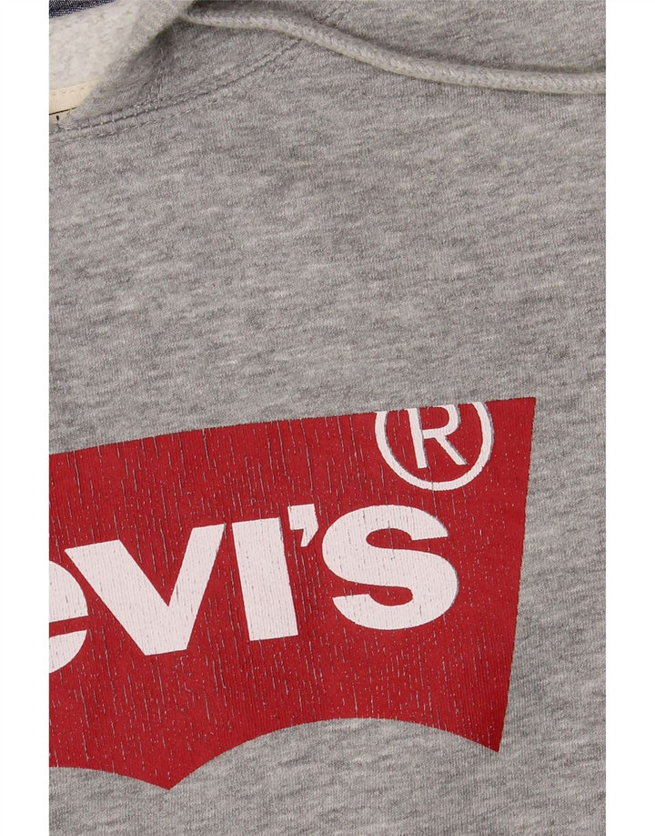 Pulover cu capota cu grafic Levi's pentru bărbați, mare, gri bumbac cu pete