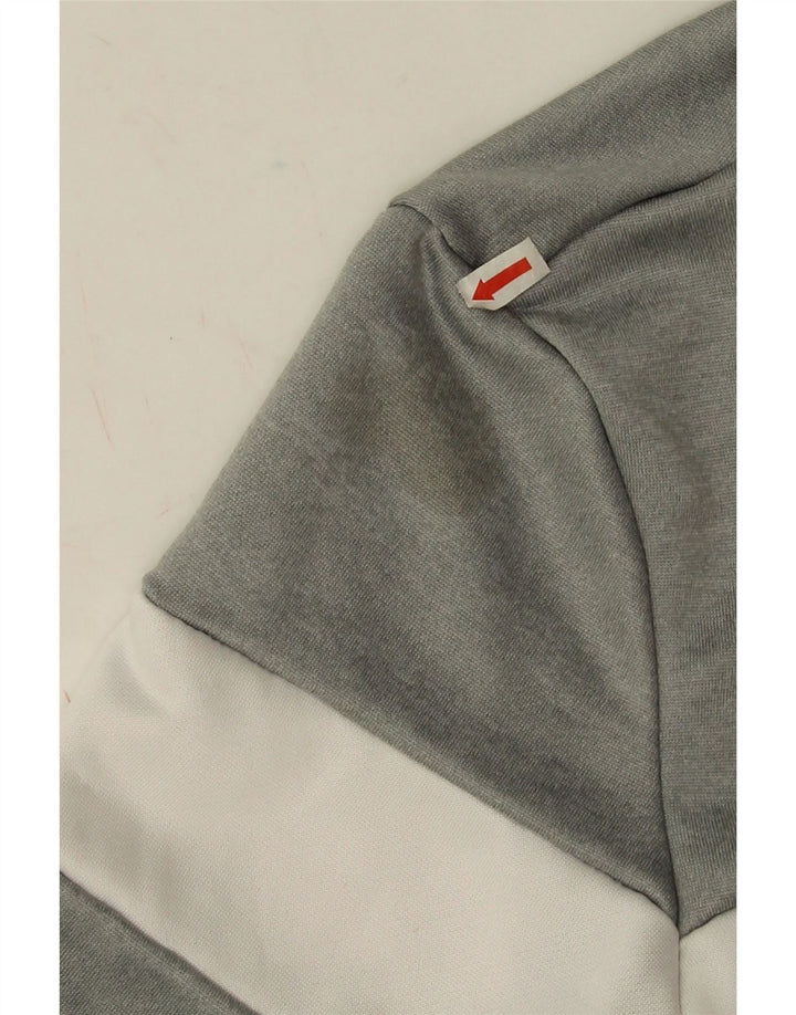 Hanorac cu grafic pentru bărbați Ellesse Pulover mic, gri, poliester color bloc