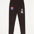 Pantaloni de trening pentru bărbați Adidas grafic, poliester negru mic