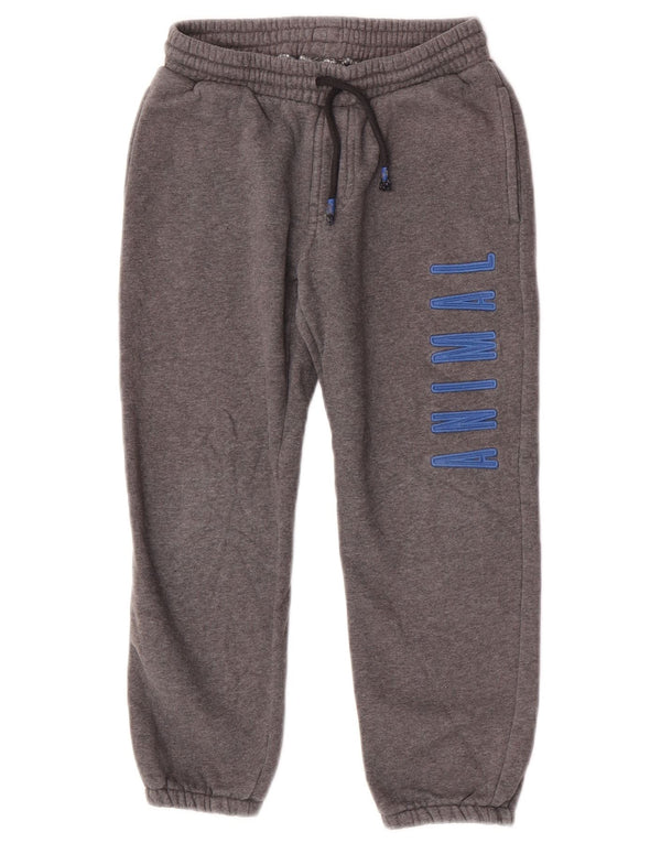 Animal Băieți Pantaloni De Trening Grafic Joggeri 7-8 Ani Bumbac Gri