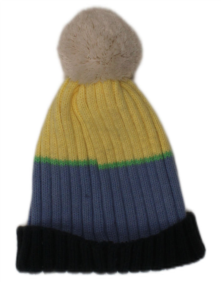 Pălărie tricot Bobble Champion pentru bărbați, mărime unica, multicoloră, iarnă, cu dungi acrilice