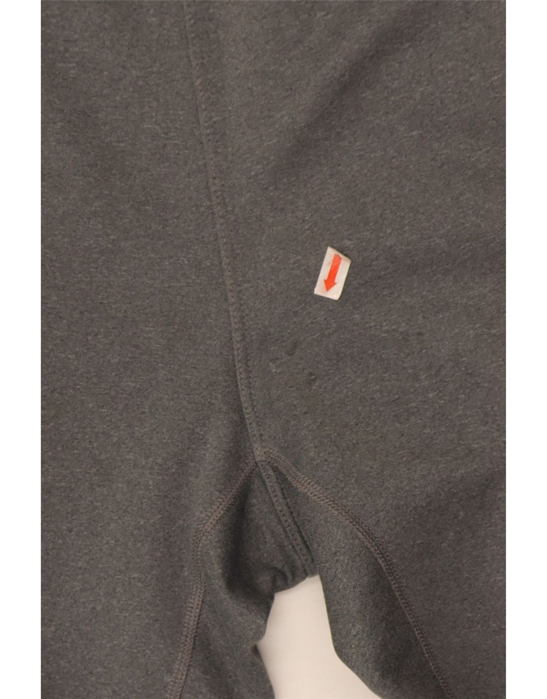 The North Face Pantaloni de trening pentru bărbați Pantaloni de jogging Medium Gri Poliester