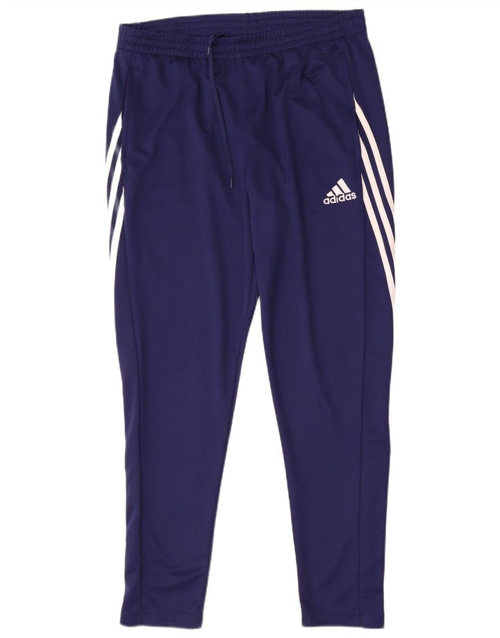 Pantaloni de trening Adidas Climalite pentru bărbați, mari, albastru, poliester