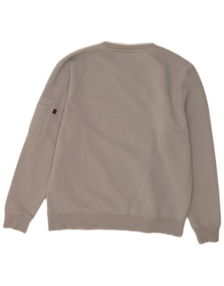 Hanorac grafic pentru bărbați Alpha Industries Pulover mare bumbac gri