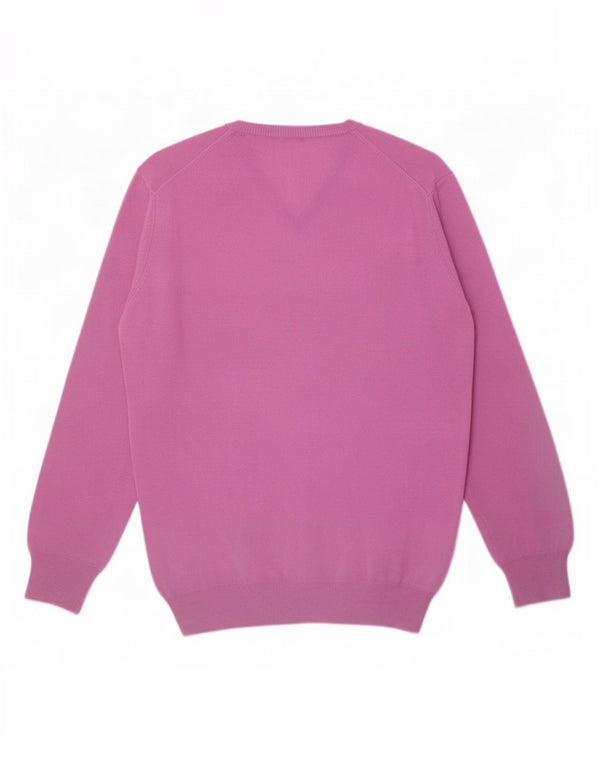 Pulover cu decolteu în V Harmont & Blaine pentru bărbați, lână mov 2XL