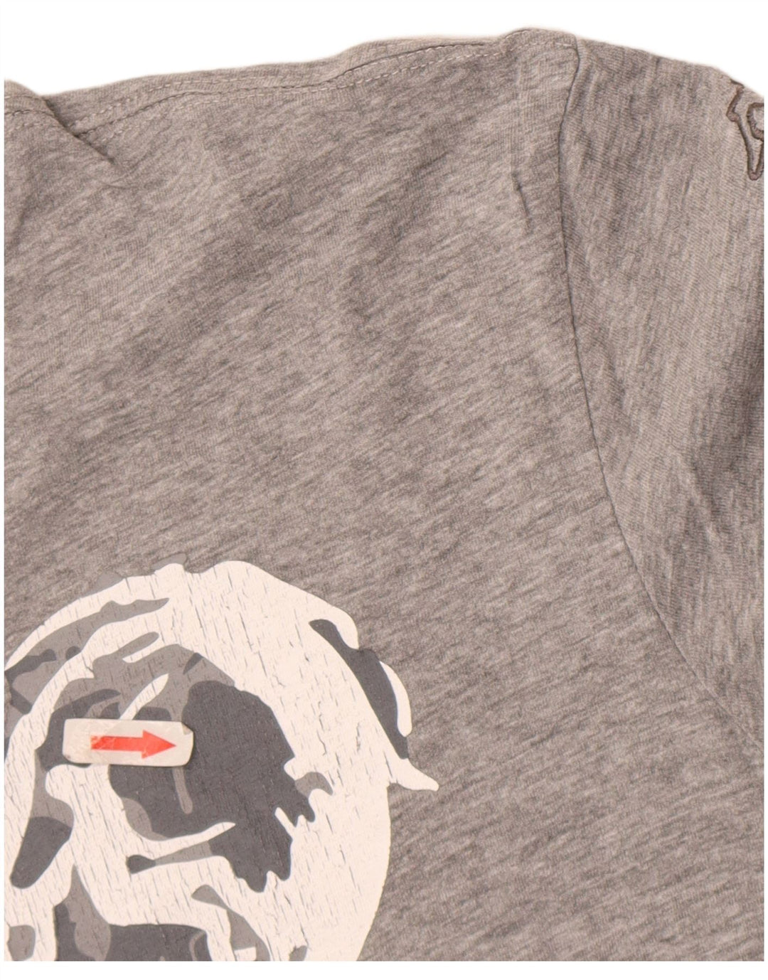 Tricou grafic pentru bărbați Kappa Top mare gri