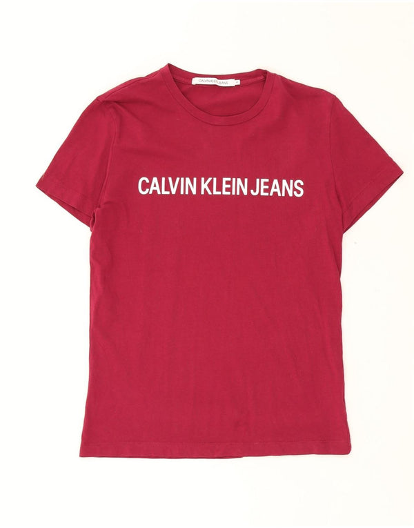 CALVIN KLEIN JEANS Tricou grafic pentru bărbați Top Medium Burgundy Bumbac