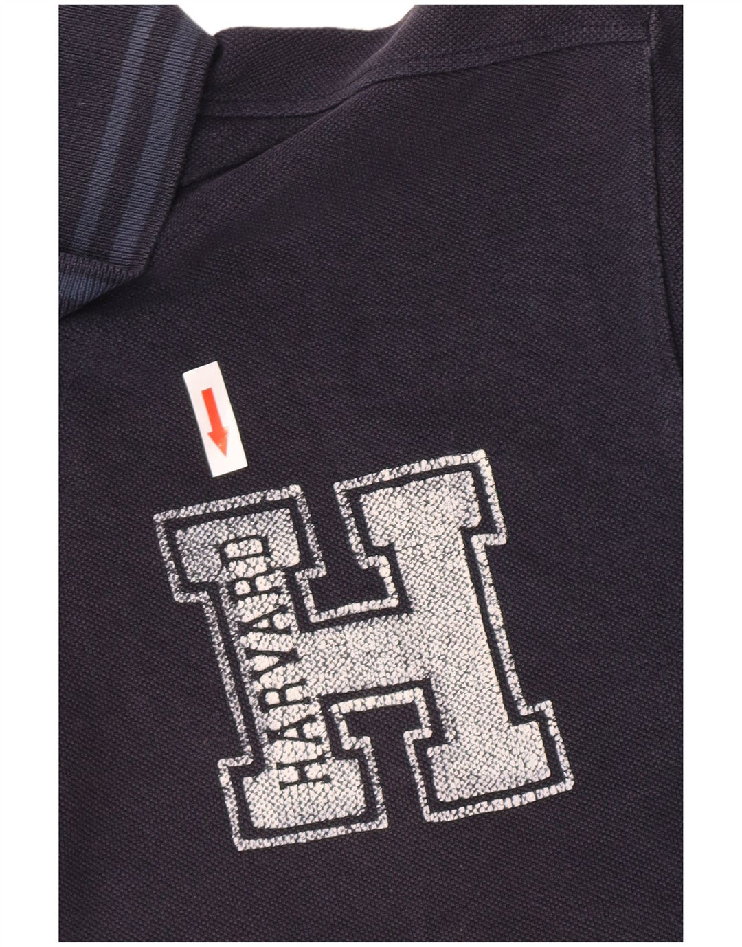 Tricou polo cu grafică Harvard pentru bărbați North Sails XL bleumarin