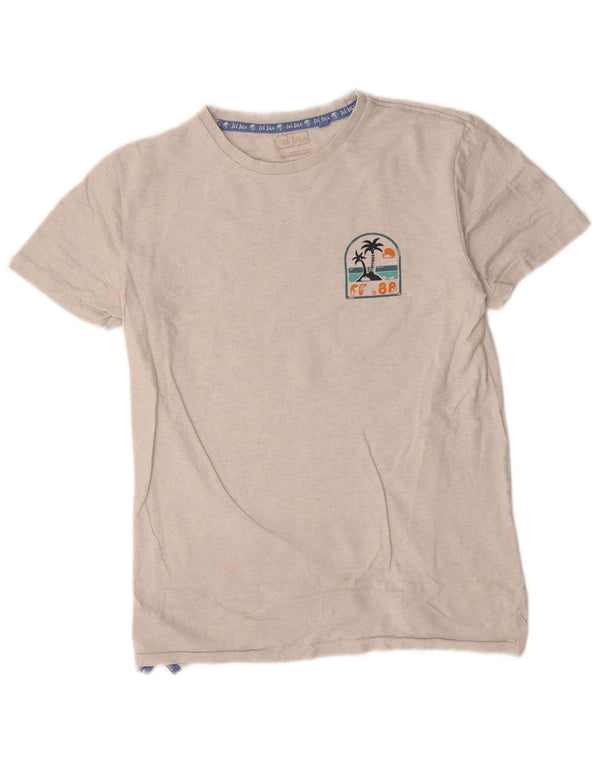 Tricou grafic pentru bărbați Fat Face Top mic gri