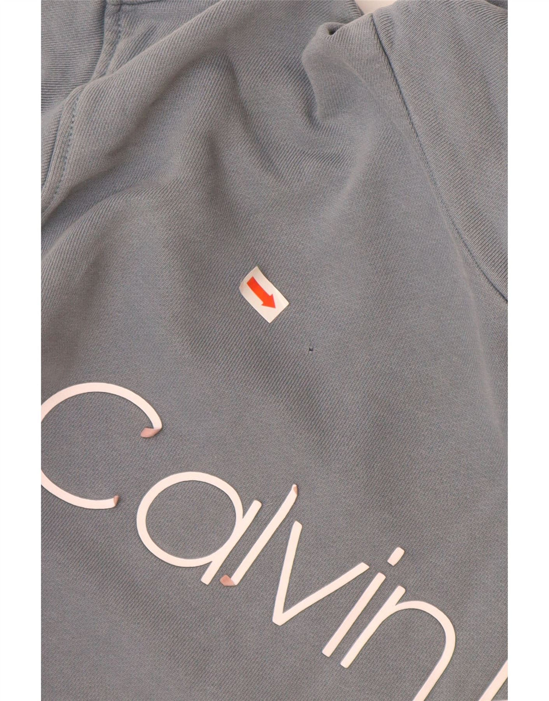 CALVIN KLEIN Pulover cu glugă grafic pentru bărbați, albastru mic