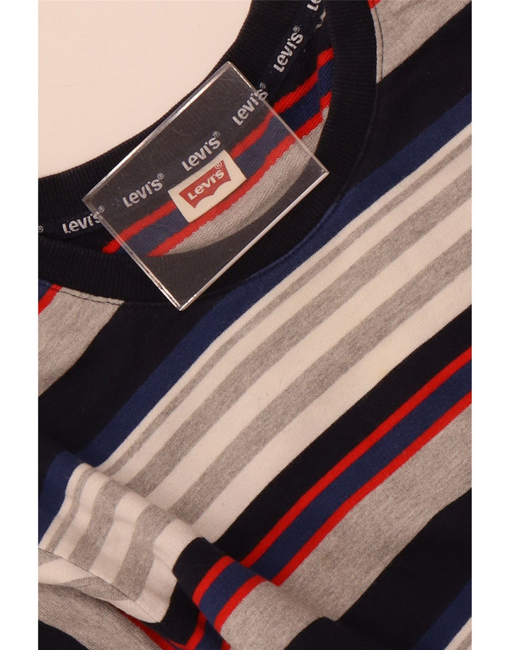 Pulover Levi's pentru bărbați, cu dungi mici, multicolore