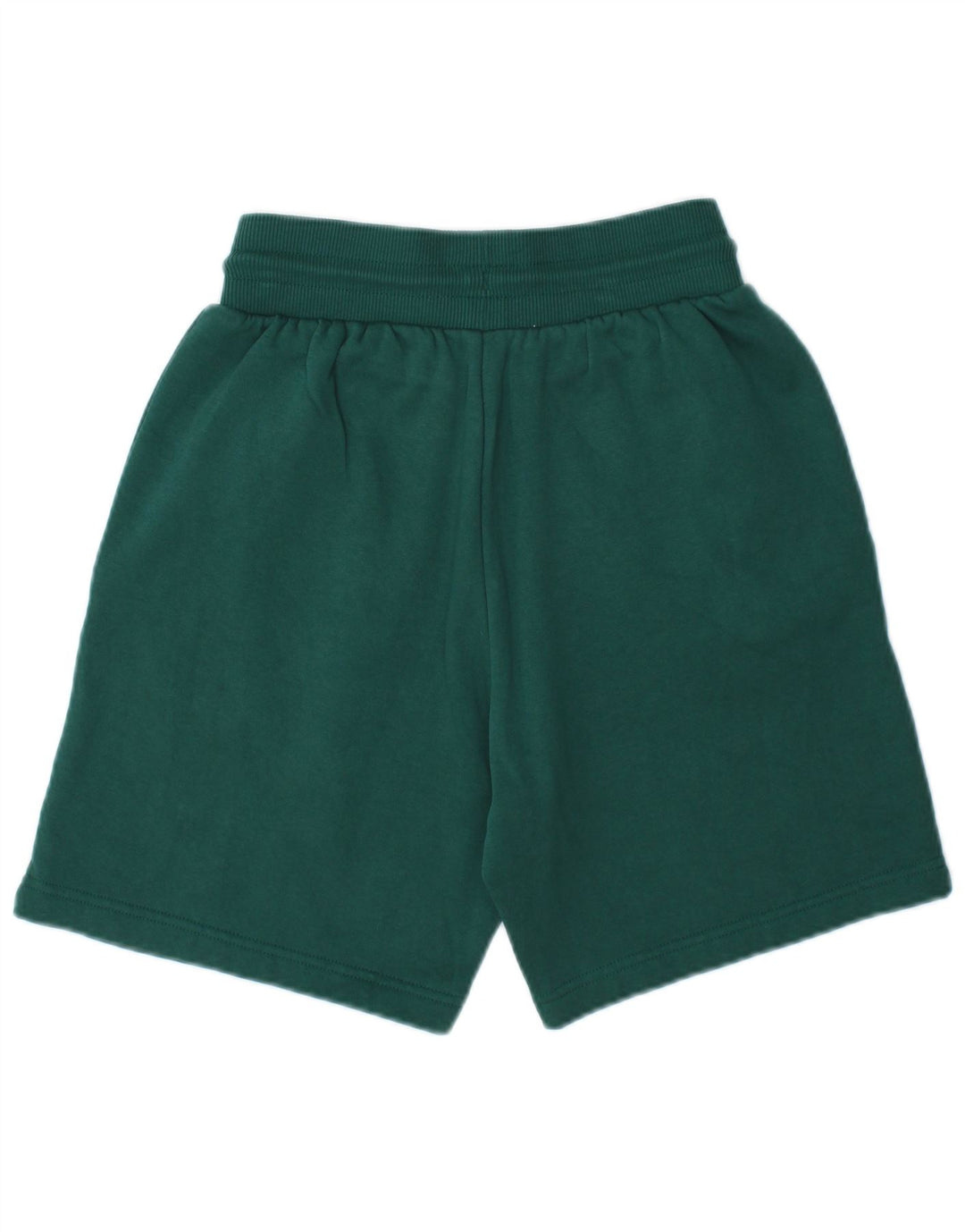 Pantaloni scurți sport pentru bărbați THE NORTH FACE XS bumbac verde