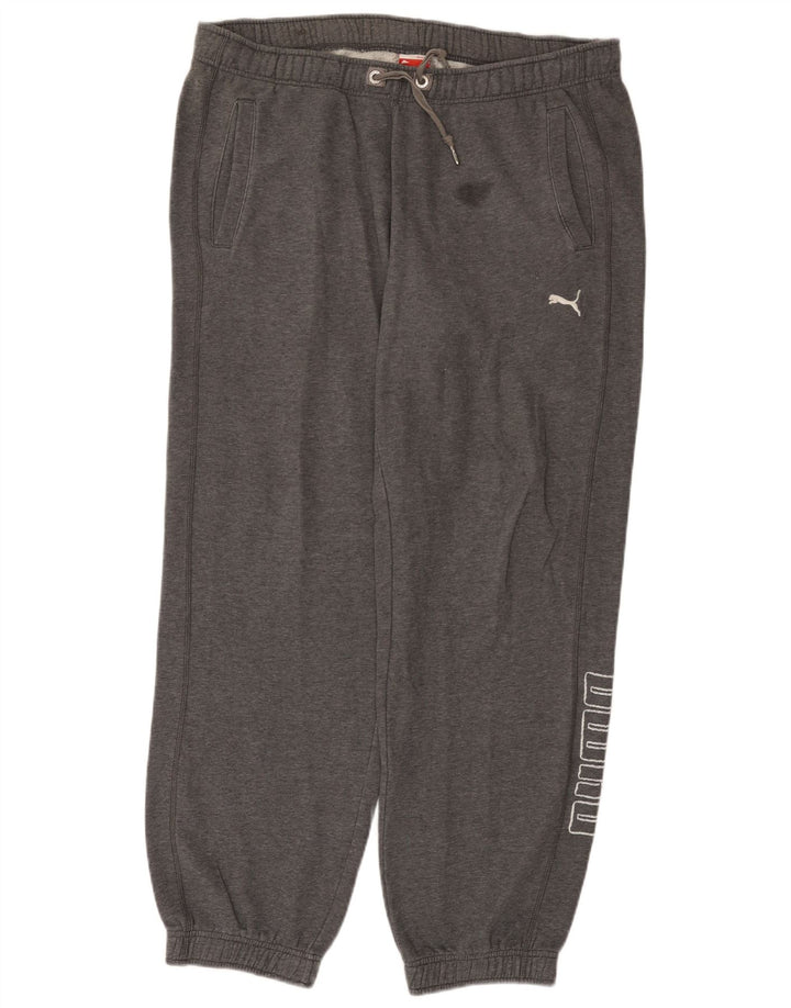 Pantaloni de trening cu grafică Puma pentru bărbați Joggeri mari, gri