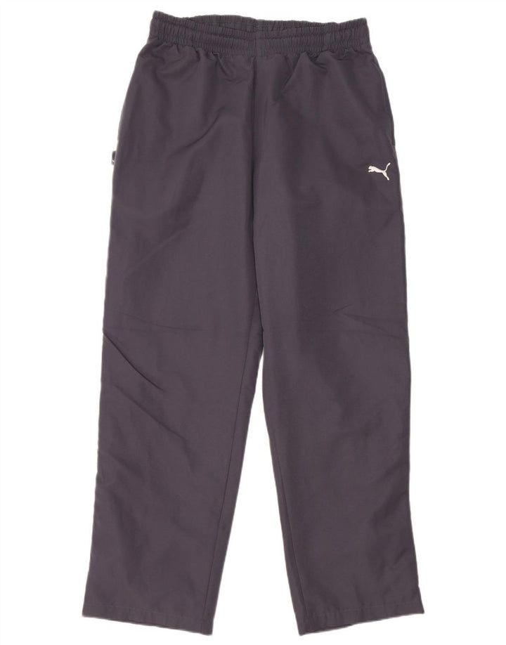 Pantaloni de trening Puma pentru bărbați, poliester, gri mediu
