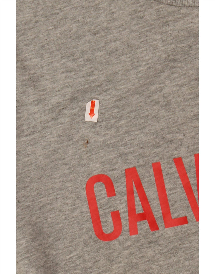 Hanorac grafic pentru bărbați CALVIN KLEIN Pulover mediu gri