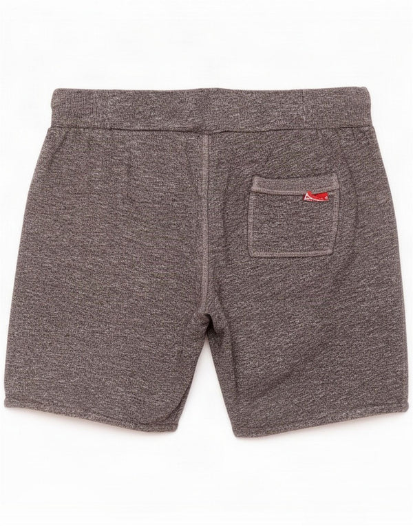 Superdry Pantaloni scurți de sport grafic pentru bărbați, mari, gri, bumbac peteat