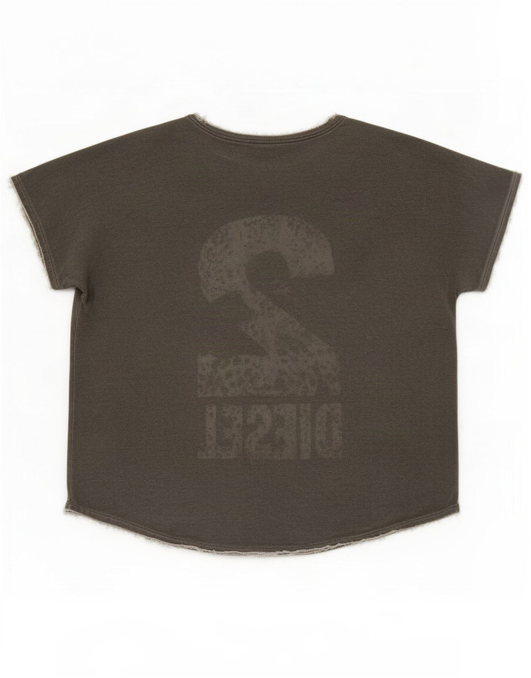 Tricou grafic supradimensionat pentru femei Diesel Top UK 10 Small Grey Rayon