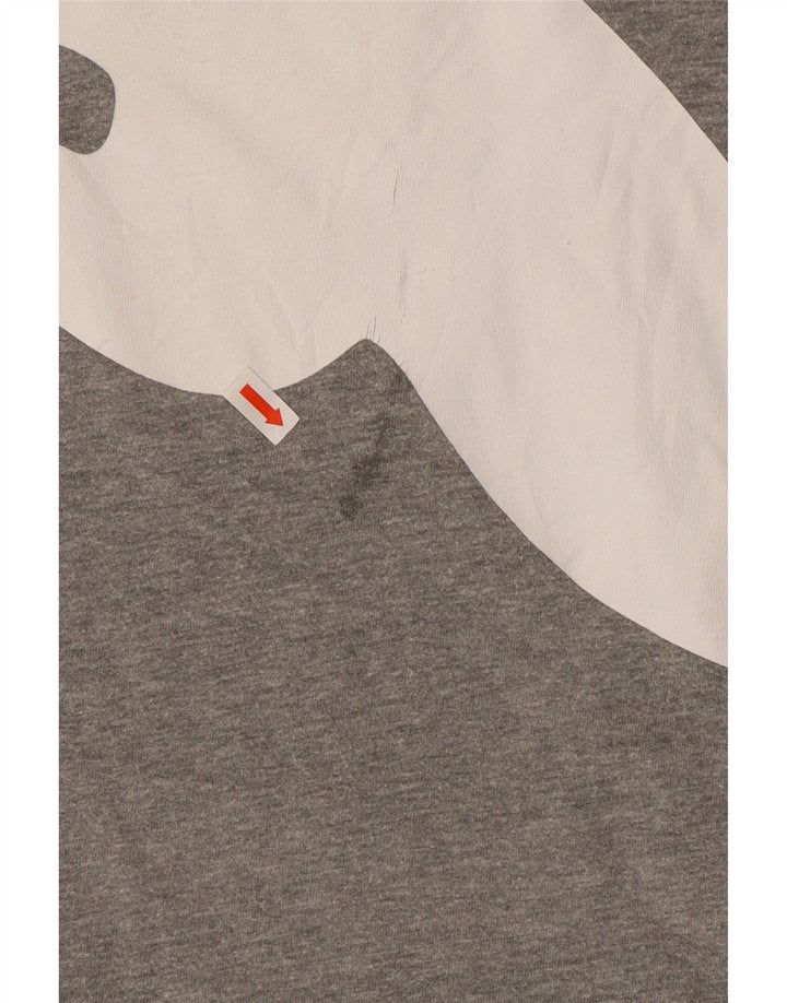 Tricou grafic PUMA pentru bărbați Top 2XL gri
