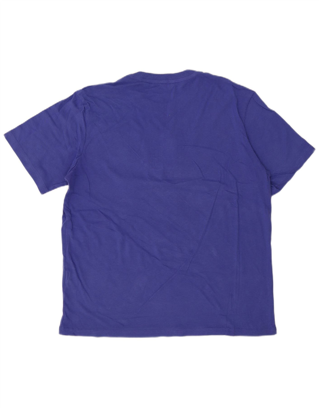 Tricou grafic pentru bărbați Superdry Top mare, albastru, bumbac