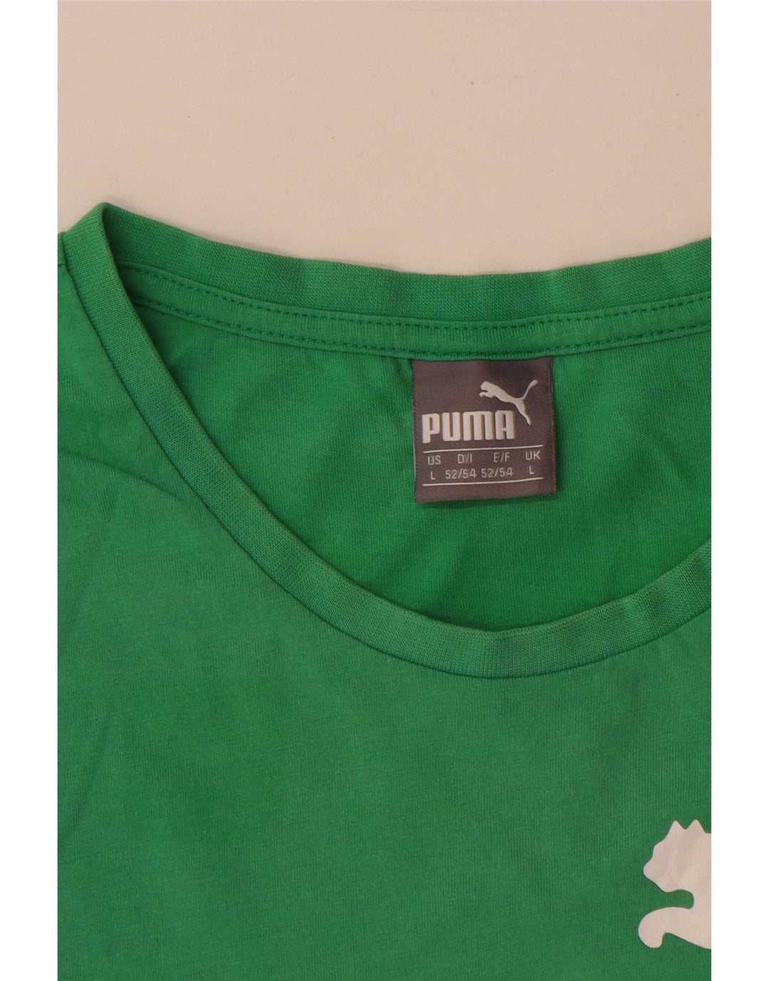 Vesta grafică pentru bărbați Puma, mare, verde