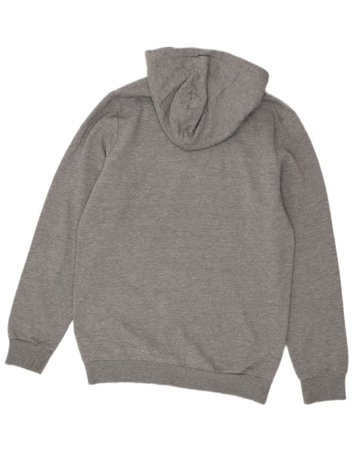 Pulover pentru bărbați Puma Graphic Hoodie, mic, gri