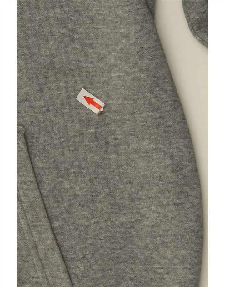 Pulover pentru bărbați Puma Graphic Hoodie, bumbac, gri mediu