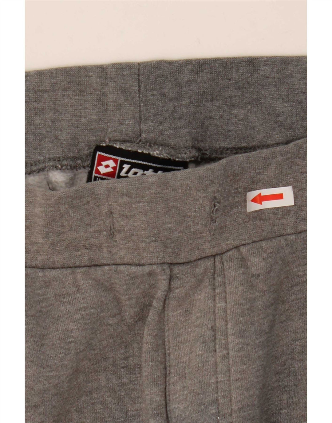 Pantaloni de trening pentru bărbați Lotto Joggeri mari, gri