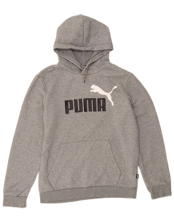 Pulover pentru bărbați Puma Graphic Hoodie Jumper mic, gri, bumbac