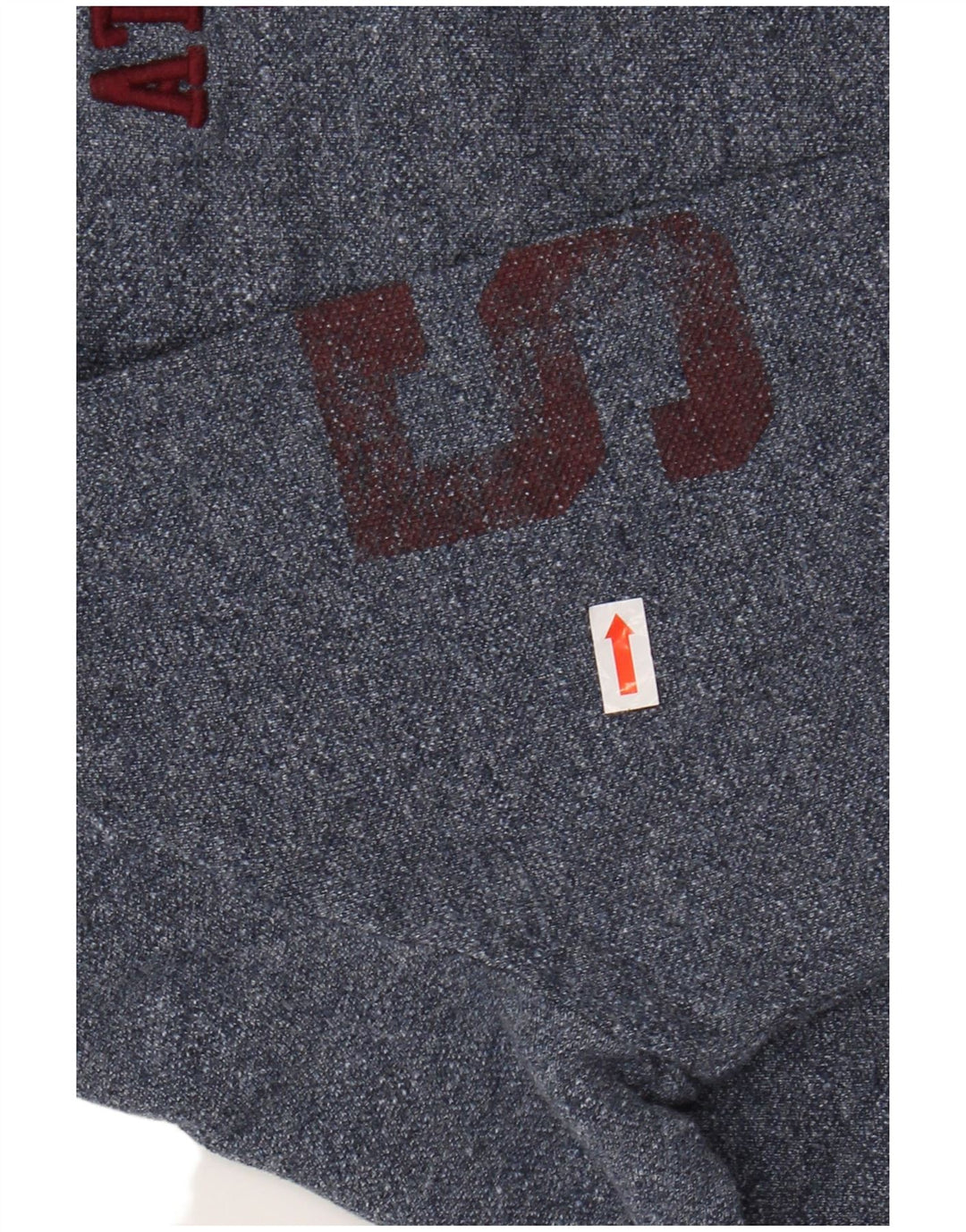 Cămașă polo cu mânecă lungă cu grafică pentru bărbați SUPERDRY, bumbac, albastru bleumarin