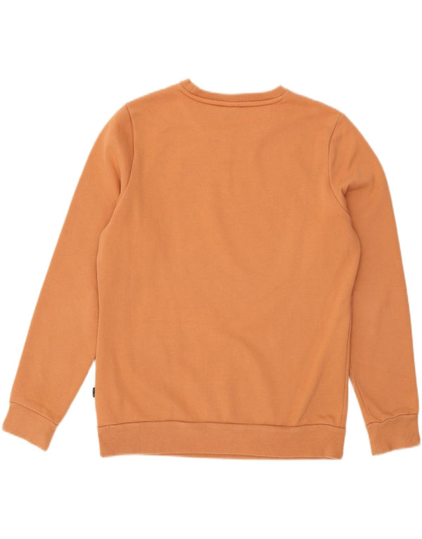 Pulover pentru femei Puma Graphic Hoodie UK 14 Bumbac portocaliu mediu