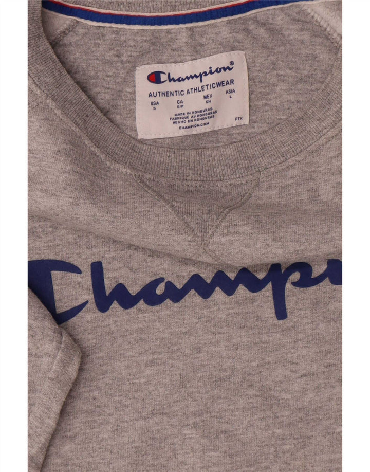 Pulover grafic pentru bărbați Champion Pulover mic, gri, bumbac