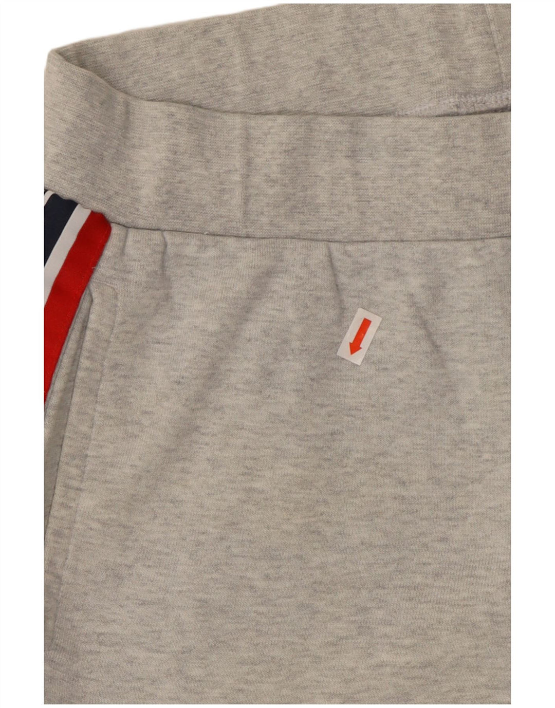 Pantaloni de trening grafic pentru bărbați Reebok Pantaloni de jogging Gri mediu Colorblock