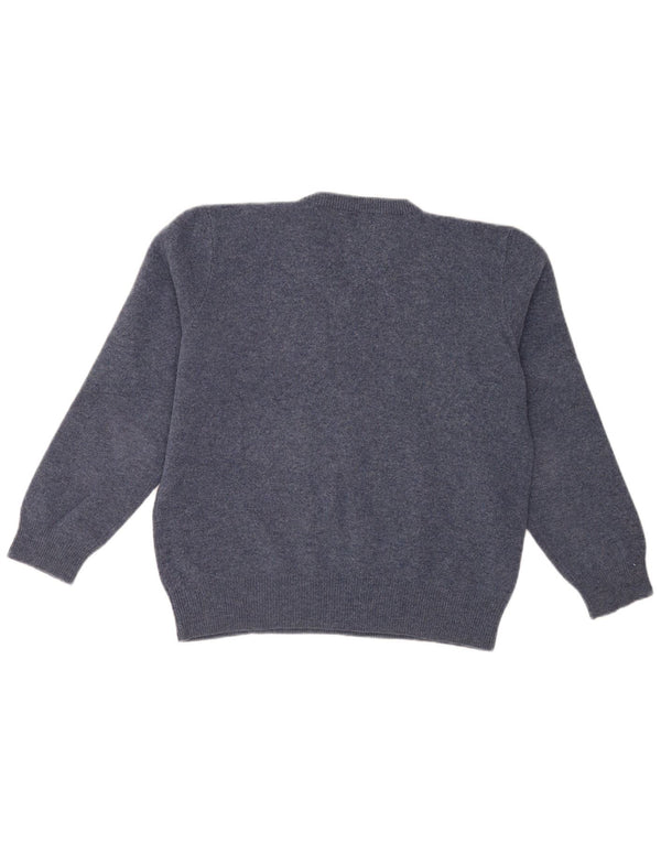 Pulover Polo Ralph Lauren pentru bărbați, cu decolteu în V, XL, lână de miel albastră