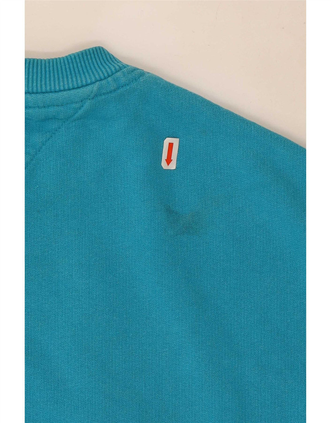 Hanorac grafic pentru bărbați Tommy Hilfiger Pulover mic, albastru, bumbac