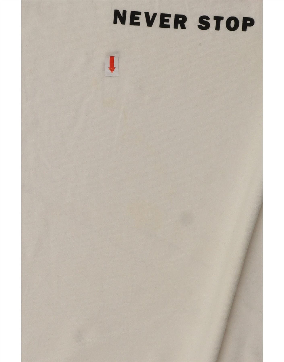 Tricou grafic pentru bărbați THE NORTH FACE Top mare din bumbac alb