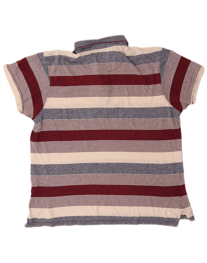 Cămașă polo pentru bărbați Pierre Cardin, cu formă regulată, cu dungi mari, multicolore