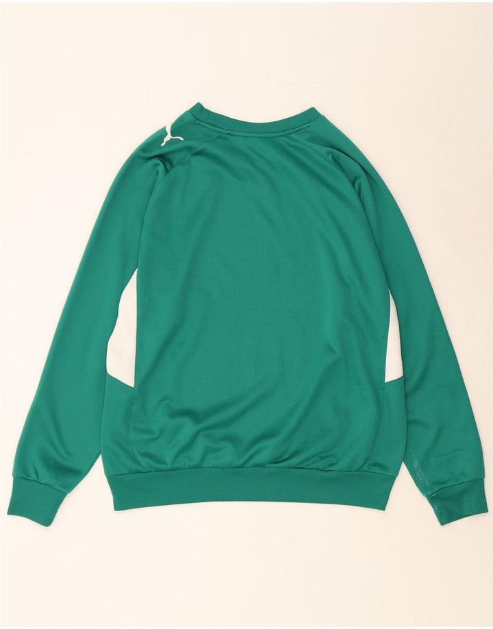 Pulover pentru bărbați PUMA Pulover mare verde, poliester color bloc