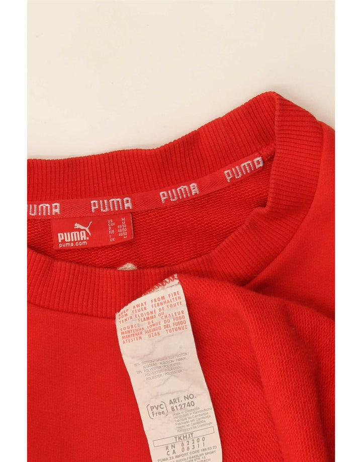 Hanorac grafic pentru bărbați Puma Jumper Bumbac Roșu Mediu