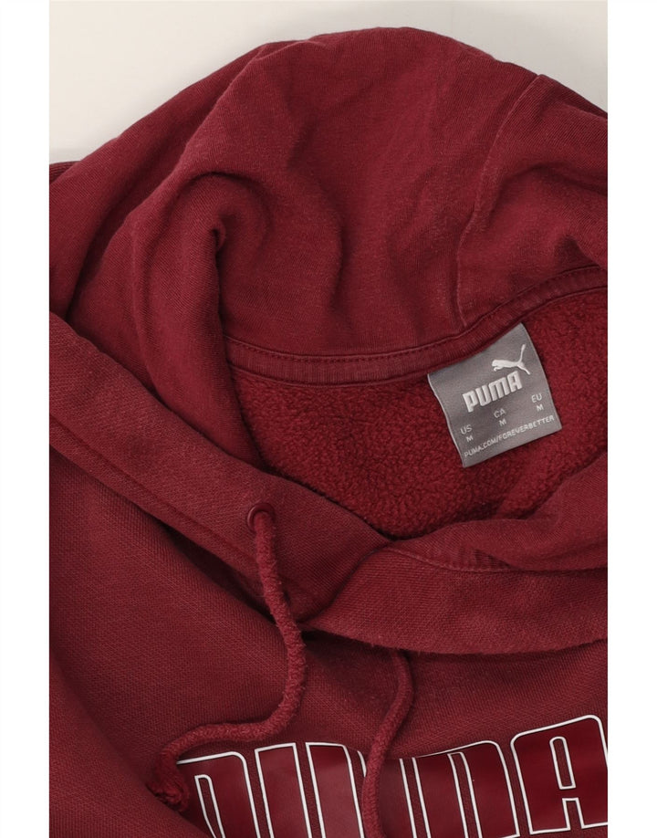 Pulover pentru bărbați Puma Graphic Hoodie, Medium Burgundy