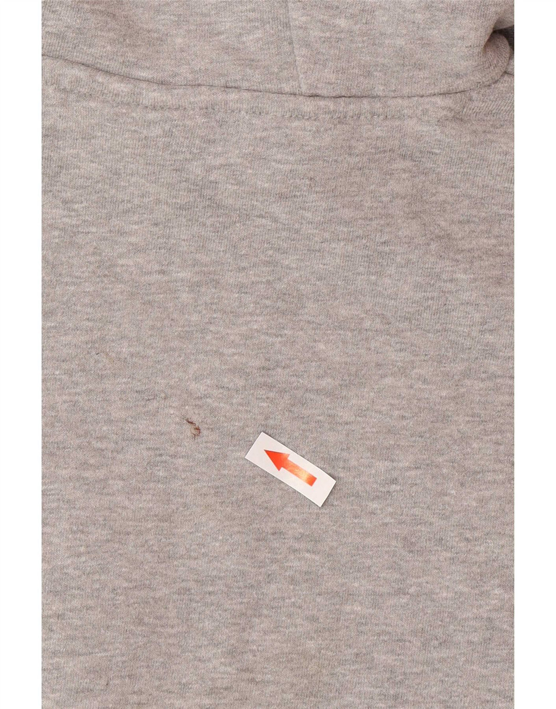 Pulover pentru femeie Ellesse Crop Graphic Oversized Hoodie UK 12 Medium Gri