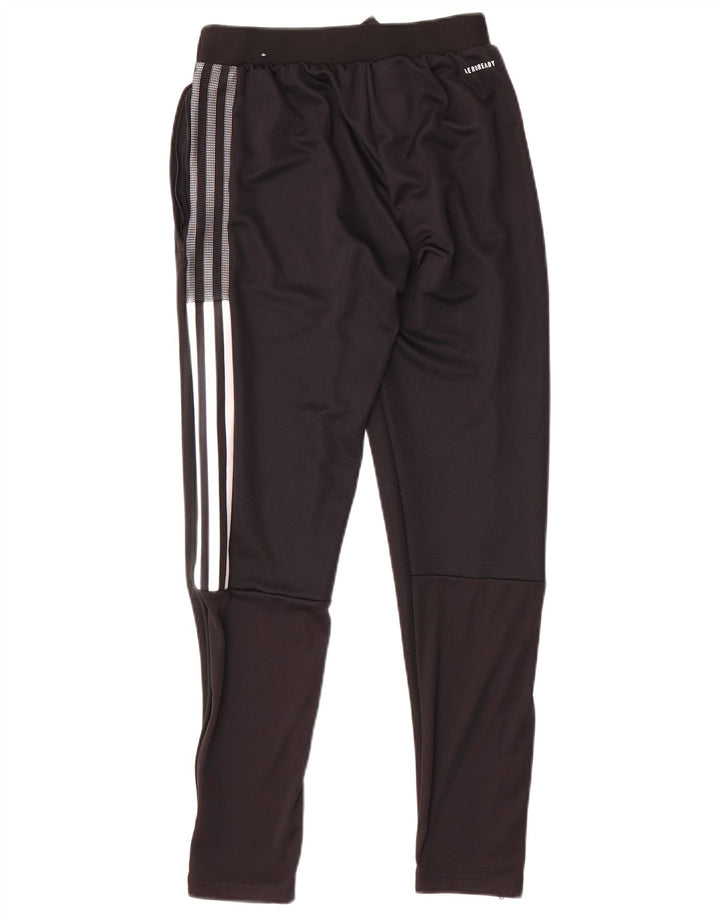 Pantaloni de trening Adidas pentru bărbați Boston Celtics XS poliester negru