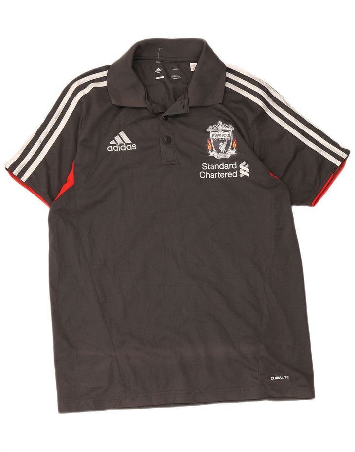 Tricou polo cu grafic Liverpool Adidas pentru bărbați, mic, gri, poliester color bloc