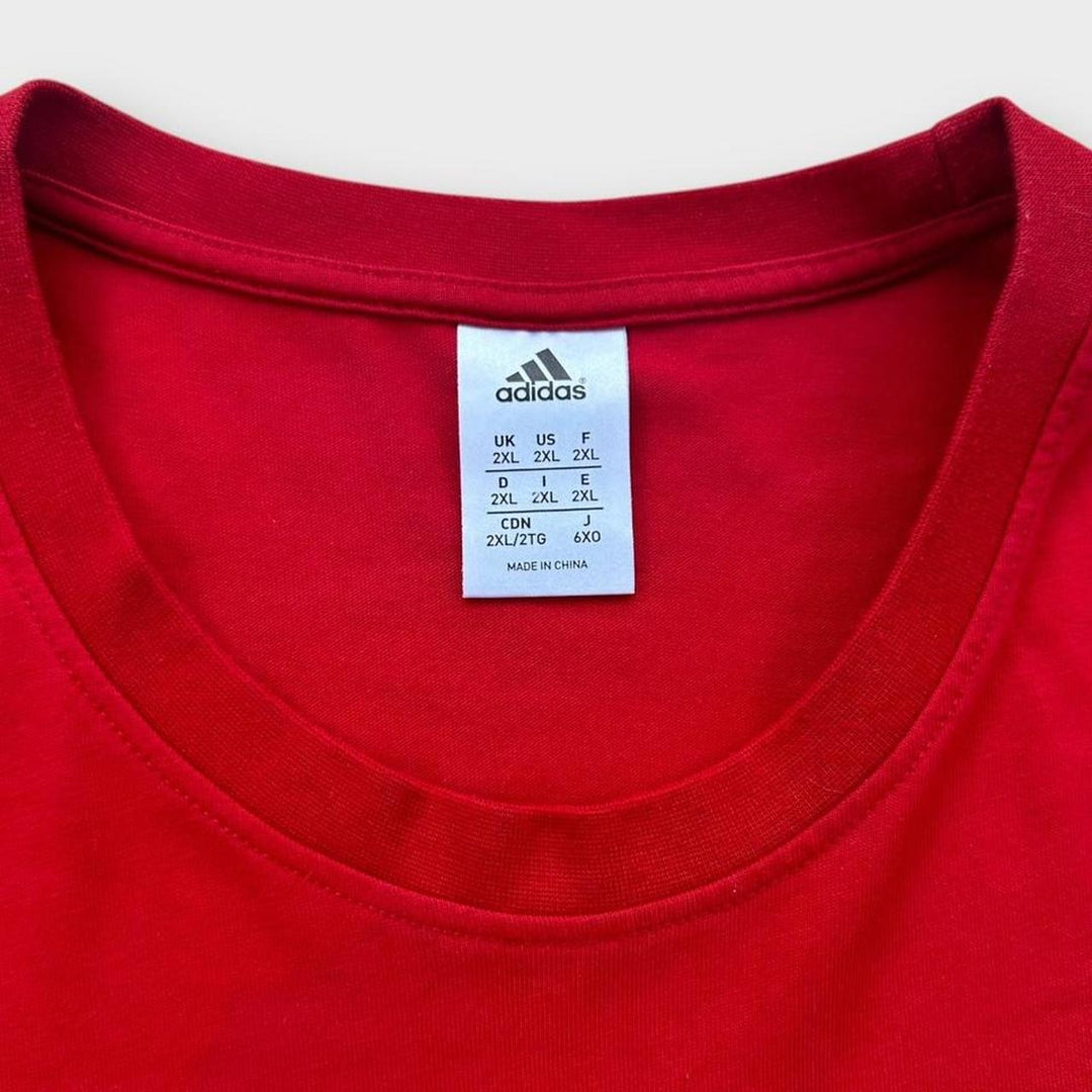 Tricou Lions rugby - XXL