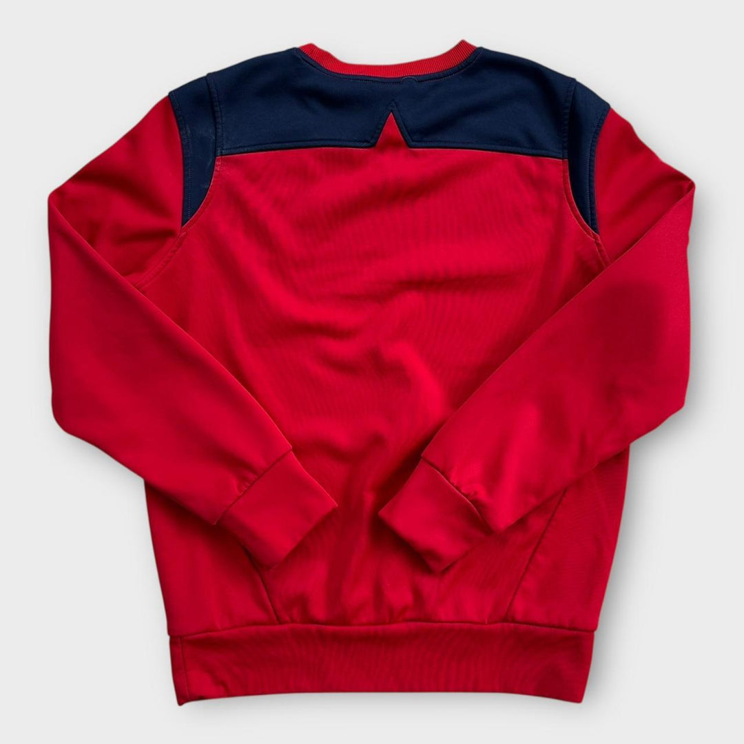 Hanorac Lions rugby - mic