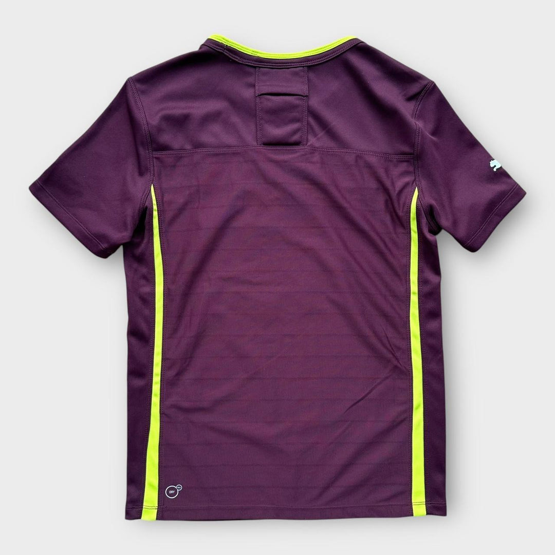 Top de rugby Irlanda - mic