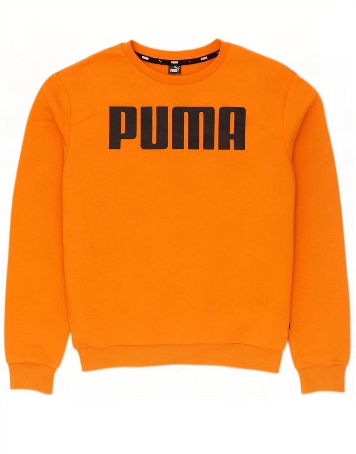Hanorac grafic pentru bărbați Puma Jumper Bumbac portocaliu mediu