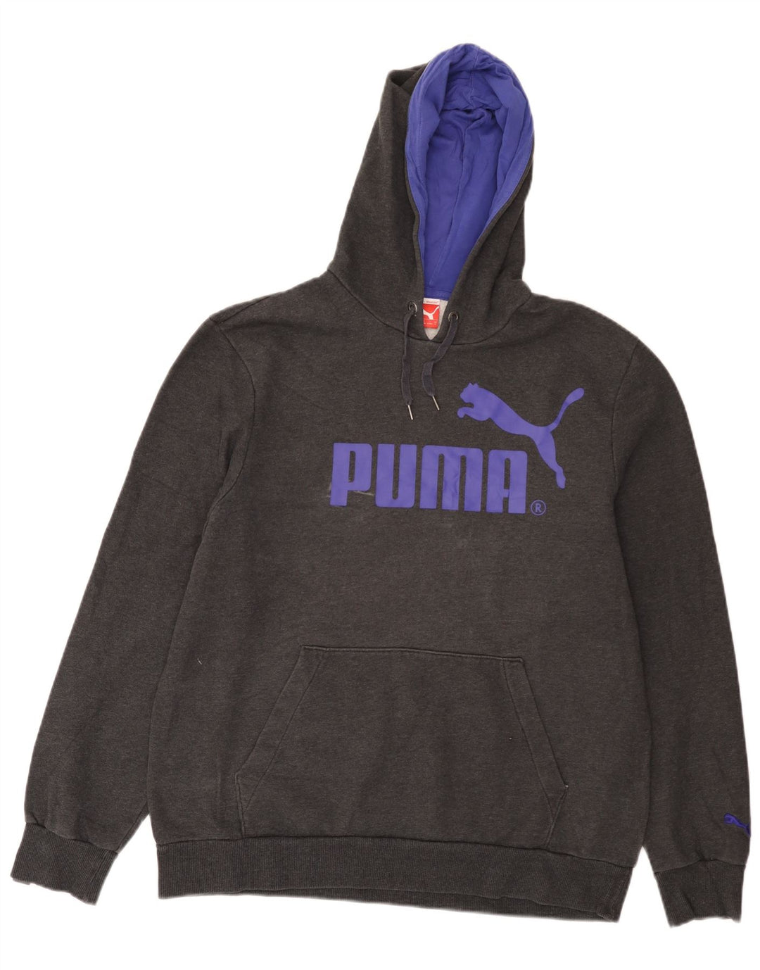 Pulover pentru bărbați Puma Graphic Hoodie, mare, gri